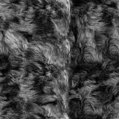 Seamless 4k photo texture of dark gray and black fur material.