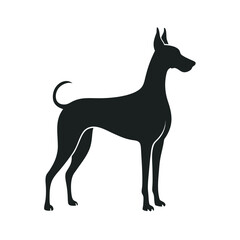 Great Dane In Alert Dog Silhouette Vector