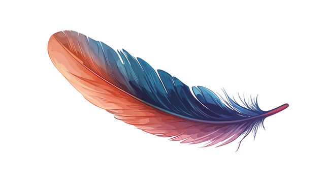 Fototapeta A close-up shot of a single bird feather isolated on a white background. The feather is predominantly orange and blue, with a gradient of color transitioning smoothly from one hue to the other.