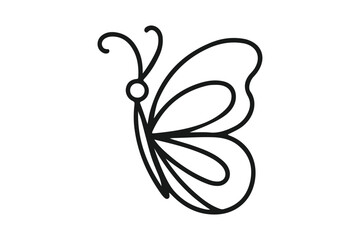 black and white butterfly