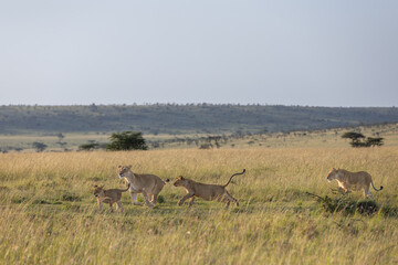 Family Outing