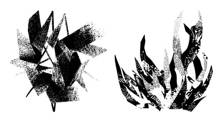 Vector Botanical illustrations of tropical leaves showcase organic shapes.
