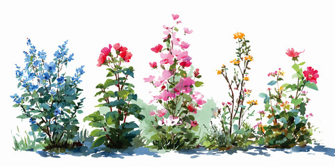 Isolated Border of colorful wildflowers. Flowerbed with different blooming plants and flowers isolated on white background
