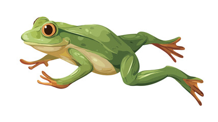 Digital illustration of a green tree frog on a white background. The frog is depicted in a side profile, showcasing its characteristic features including large, round eyes, smooth skin