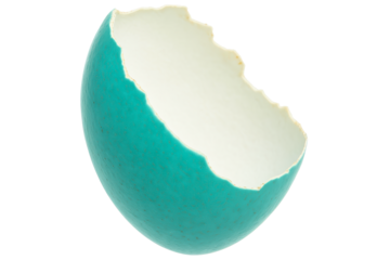 Fragment of a blue and white broken eggshell on a transparent background