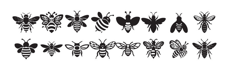  black bee isolated on white background. Victor illustration eps 10