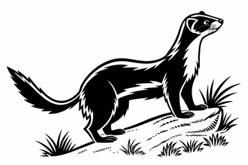weasel silhoette black vector