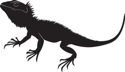 Obraz premium iguana on white background