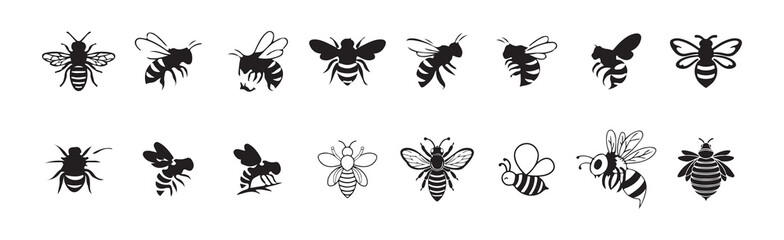  black bee isolated on white background. Victor illustration eps 10
