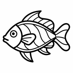fish on a white background