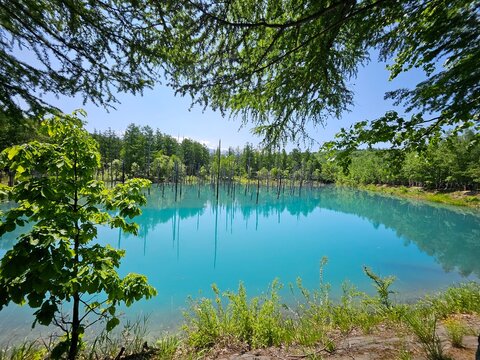 Biei Shirogane Blue Pond
