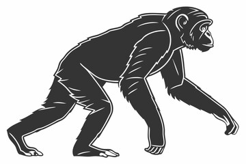 Fototapeta premium chimpanzee sihouette black vector