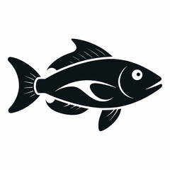 fish on a white background