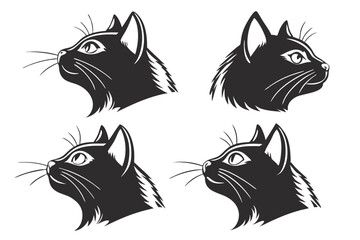 Obraz premium black and white cats