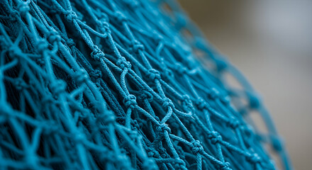 Detailed Close Up of a Blue Net Texture