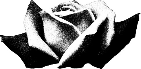 High contrast black and white rose with bat wings - abstract design for halloween themes