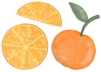 orange with leaves digital watercolor illustration png no background