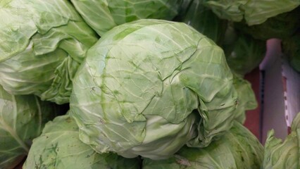 Cabbage Head Arranged in Fresh Produce Section at Local Market Before Evening Rush