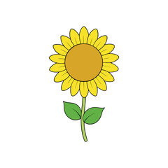 Sunflower floral Vector art illustration