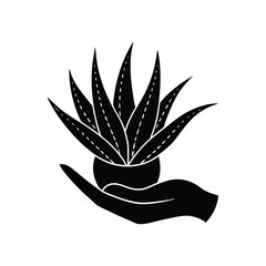 Aloe vera hand sketched herbal design Vector illustration