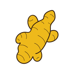 Ginger root Vector art illustration
