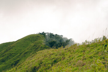 High-angle view of the mountain with lush green forest in Thailand. There is fog covering around in the morning. Fresh trees in the rainy season. The idea for a nature background with copy space.