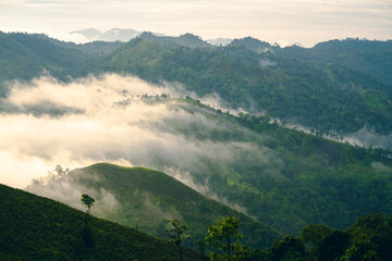 High-angle view of the mountain with lush green forest in Thailand. There is fog covering around in...