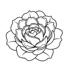 Elegant Peony Outline Illustration – Floral Vector Design