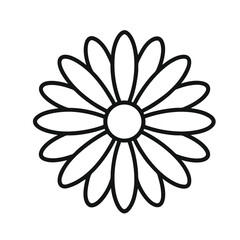 Fototapeta premium Botanical Daisy Flower Line Art Vector