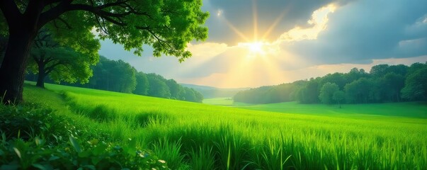 Serene scene of gentle rain falling on lush green landscape, sunlight peeking through the clouds Perfect for nature, weather, and serenity themes , soft light, plants