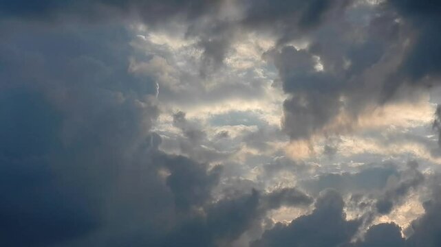 Cloudy evening sky with sunlight, moving different types of clouds at different altitudes with dark rainy and stormy Cumulonimbus calvus and bird in flight - natural weather background.