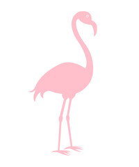 Flamingo clip art design on plain white transparent isolated background for sign, decal, card, shirt, hoodie, sweatshirt, apparel, tag, mug, icon, poster or badge