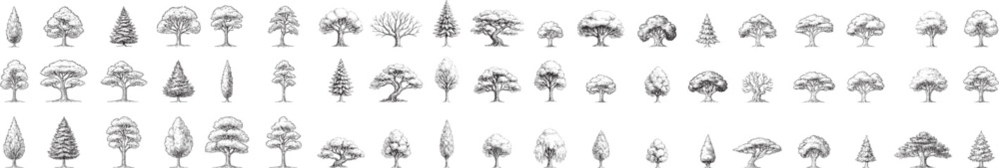 A diverse collection of unique tree drawings, tailored for architecture and landscape design. This black-and-white vector set features varied tree shapes for blueprints, urban planning, and nature 