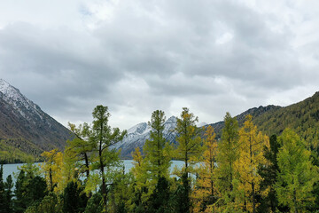 drone view of the autumn landscape of the Altai mountains, a beautiful view from above of nature, river and mountains