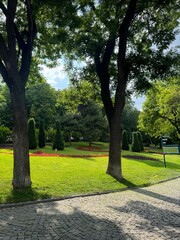 park in the city