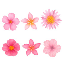 Fototapeta premium Set of Pink Flowers in Various Species on White Background.