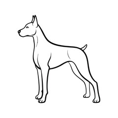 Obraz premium Doberman Dog Outline Vector – Guard Pet Line Art Clipart
