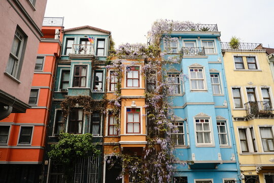 Colorful historic buildings with blooming vines in urban setting during daylight in Turkey