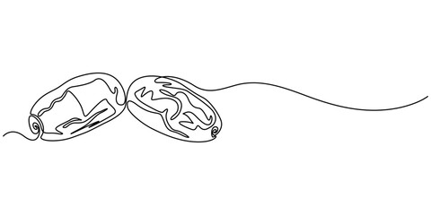 Dates fruit continuous line. Continuous one line drawing of sweet dates. Tropical arabic fruit concept. single line drawing, Continuous one line drawing of dates palm fruit. Vector illustration