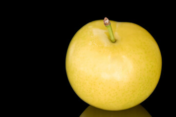 One yellow plum isolated on black background, macro.