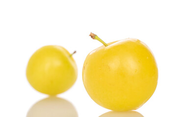Two yellow plums isolated on white background, close-up.