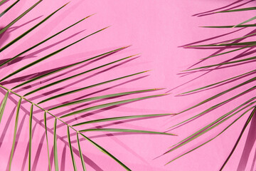Obraz premium A close-up of palm leaf against a pink background, showcasing shadows. The simplicity and vibrant color contrast create a modern aesthetic, emphasizing nature and minimalistic design. Summer concept.