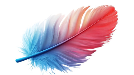colorful feathers isolated on white