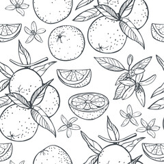Hand-drawn orange fruits, leaves and flowers. Vector  seamless pattern.