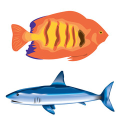 Tropical and Marine Fish Vector Collection – Colorful Fish Illustrations