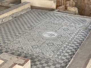 Detalle de Mosaico romano de la Casa del Anfiteatro en Mérida, Extremadura