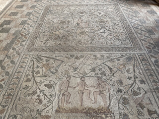 Detalle de Mosaico romano de la Casa del Anfiteatro en Mérida, Extremadura