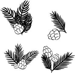 Pine tree branches with pine cones black and white set composition isolated. Vector graphic line ink illustration. For poster, flyer, banner, invitation, social media, party or sale