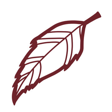 Sharp Leaf Outline &ndash; Botanical Vector Illustration