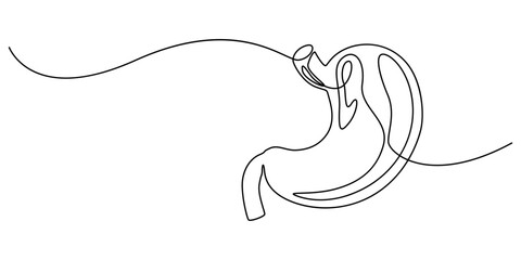 Stomach one continuous line drawing anatomy concept on white background. Single line art stomach minimalism vector illustration, Continuous Line Drawing of Stomach Icon. Hand Drawn Symbol Vector pro.